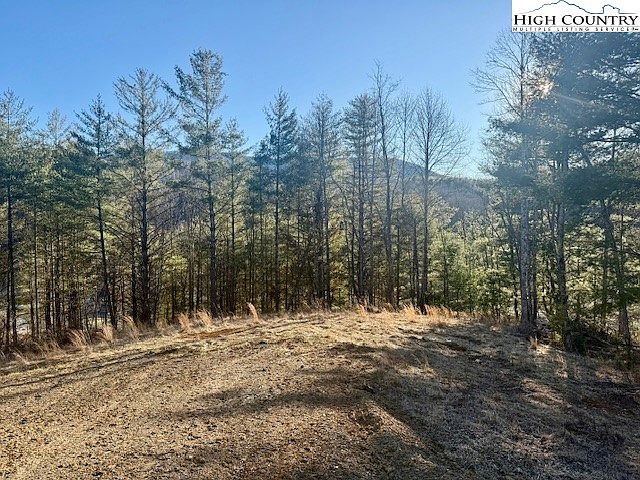 4 Venue Views Dr Lansing, NC 28643 - Thumbnail 3