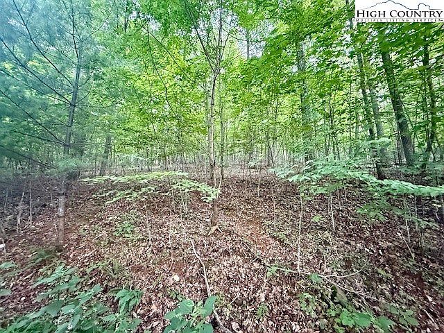 29 Winter St Jefferson, NC 28640 - Thumbnail 3