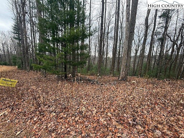 Jobs Rd Laurel Springs, NC 28644 - Thumbnail 3