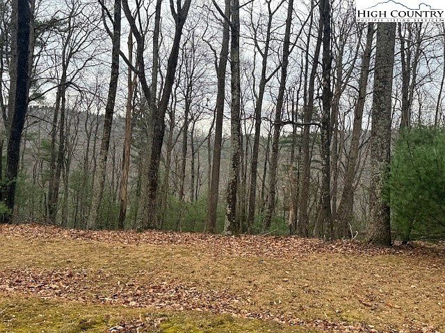 Jobs Rd Millers Creek, NC 28651 - Thumbnail 3