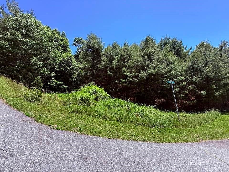 Ridge View Trl Fleetwood, NC 28626 - Thumbnail 3