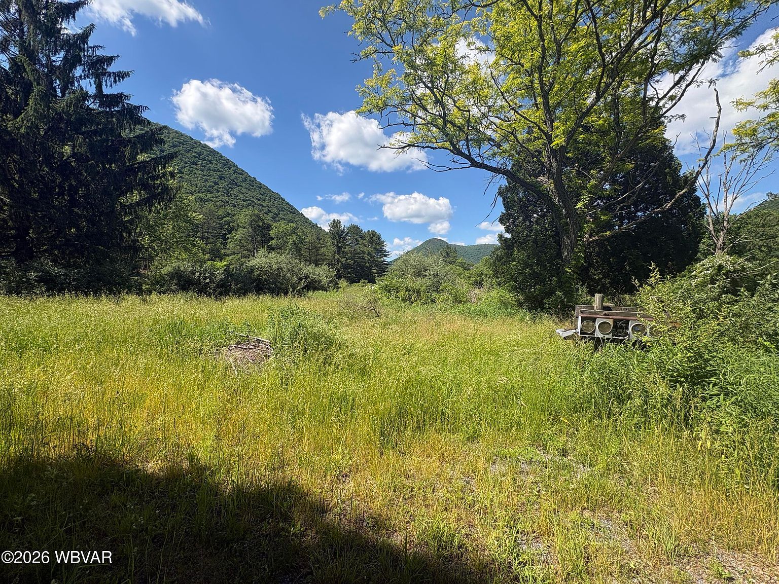 158 Cornwall Ave Trout Run, PA 17771 - Thumbnail 3