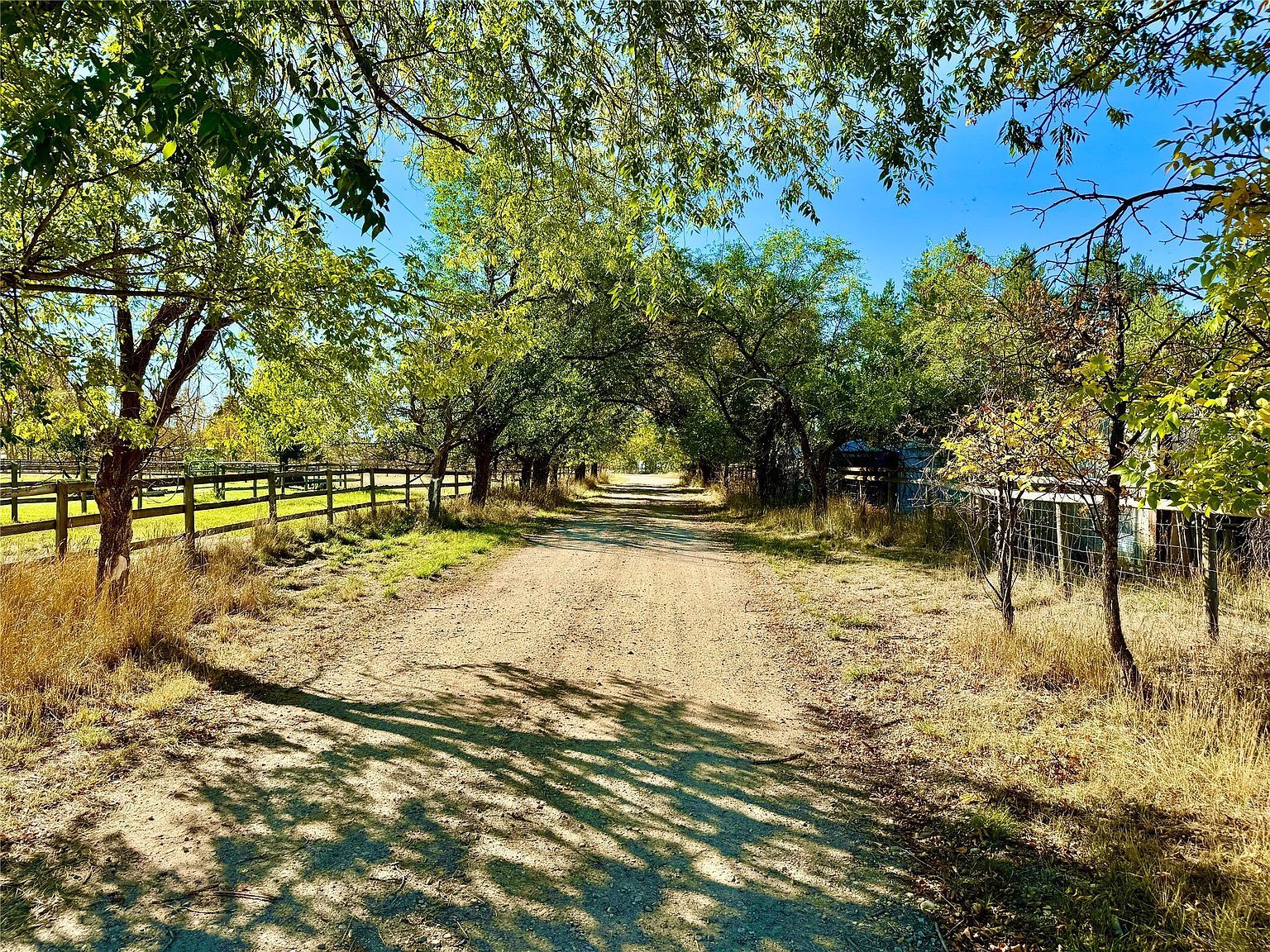 5819 Lawrence Ln Florence, MT 59833 - Thumbnail 3