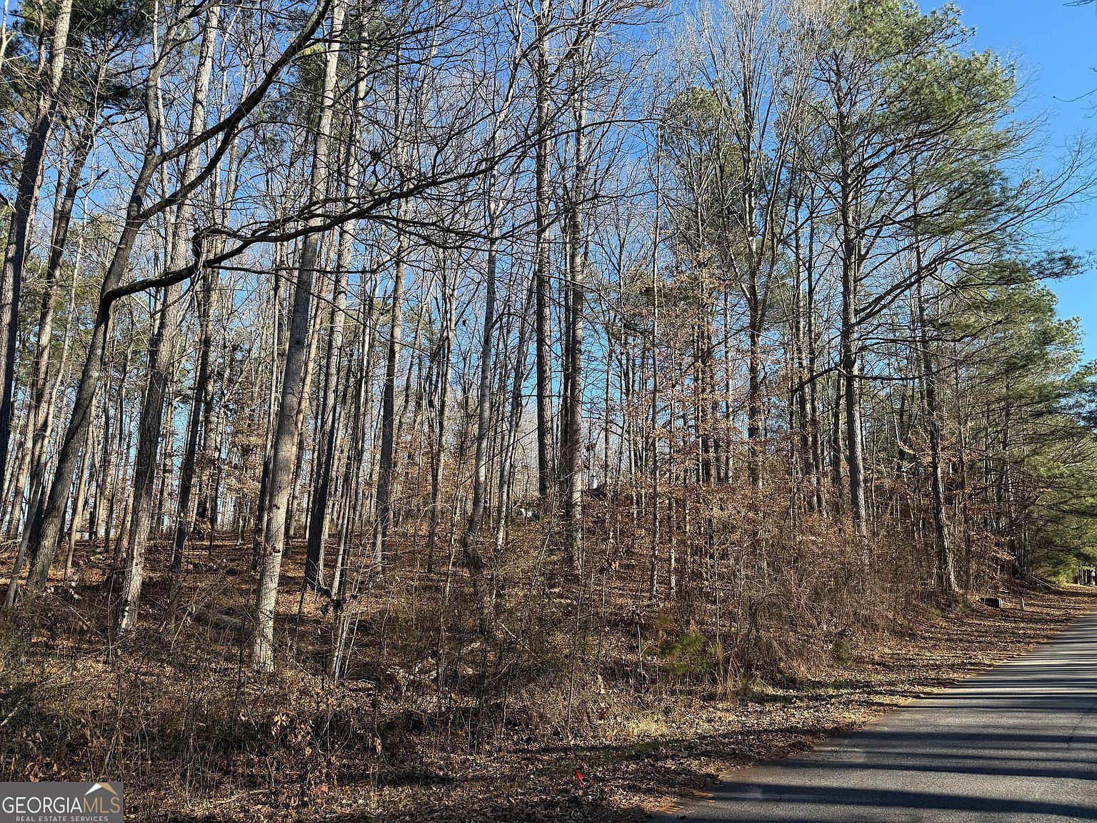 102 Brook Hollow Lake Trl Cumming, GA 30028 - Thumbnail 3