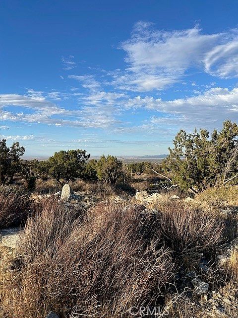 0 Yucca Rd LOT 26 Pinon Hills, CA 92372 - Thumbnail 3