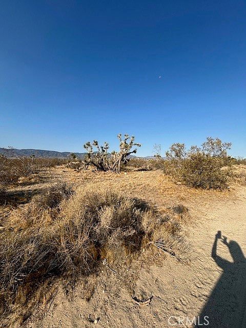 0 E Ave W #8 Palmdale, CA 93591 - Thumbnail 3