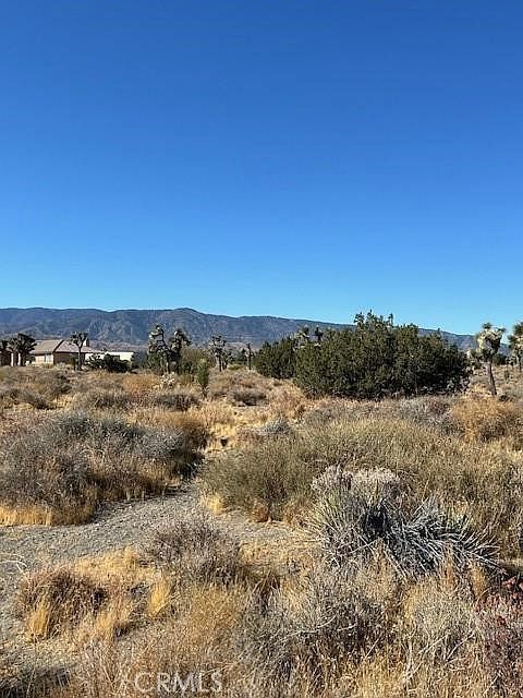 0 Calaveras Rd Pinon Hills, CA 92372 | Land/Lot