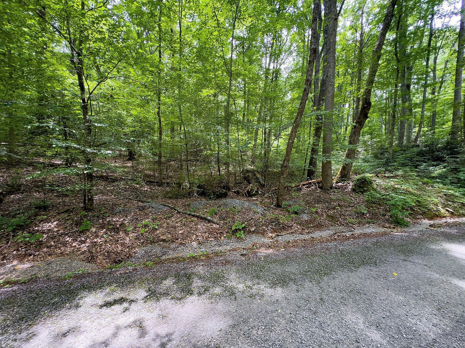 0 Hopkins Rd Cosby, TN 37722 - Thumbnail 3