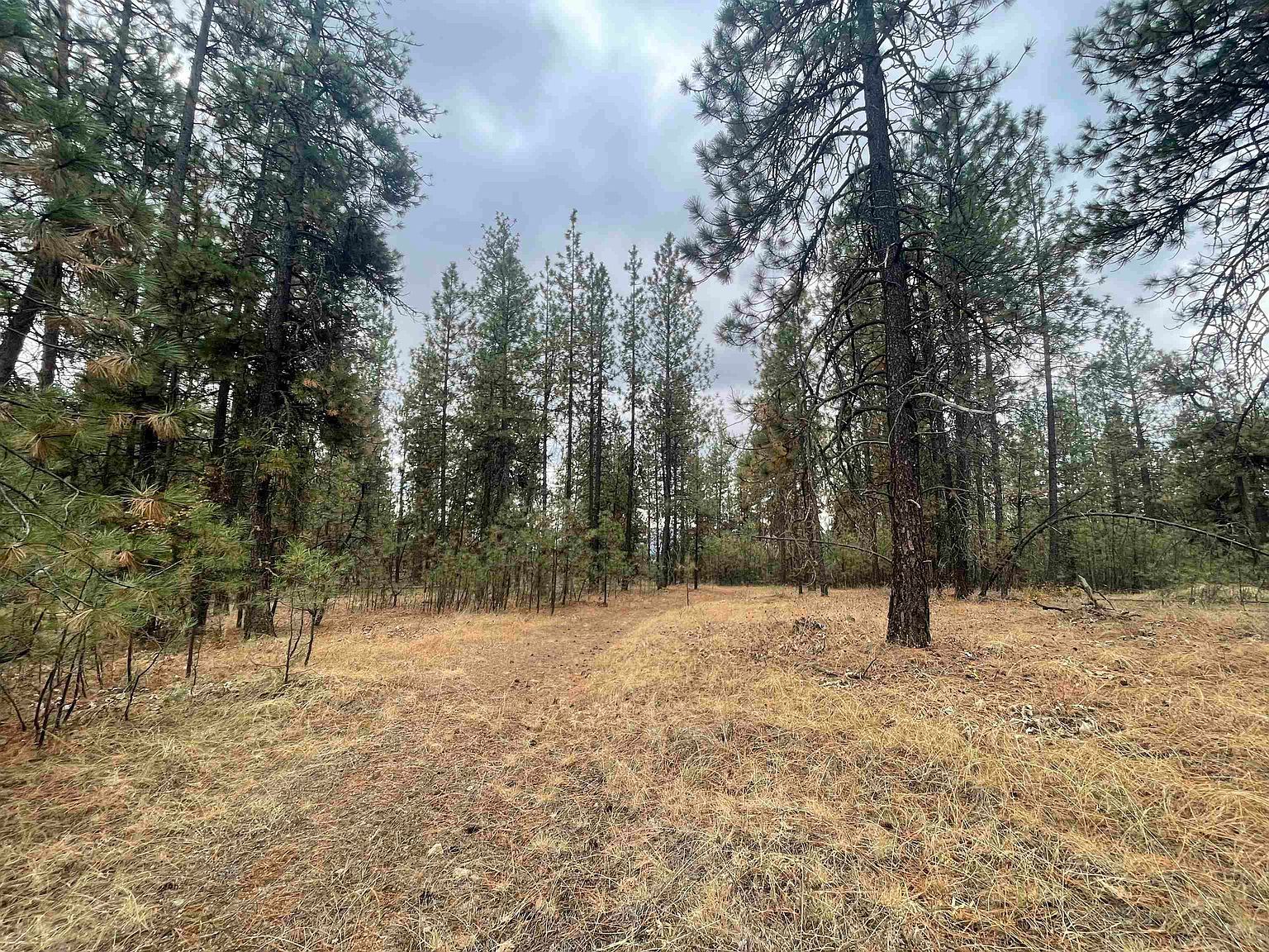 Nka Rocky Top Way Deer Park, WA 99006 - Thumbnail 3