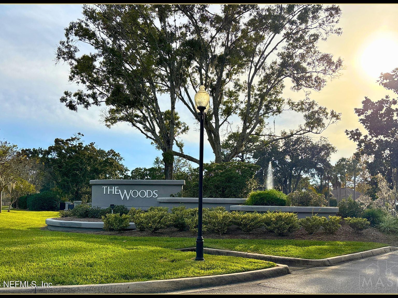 2273 Fallen Tree Dr E Jacksonville, FL 32246 - Thumbnail 3