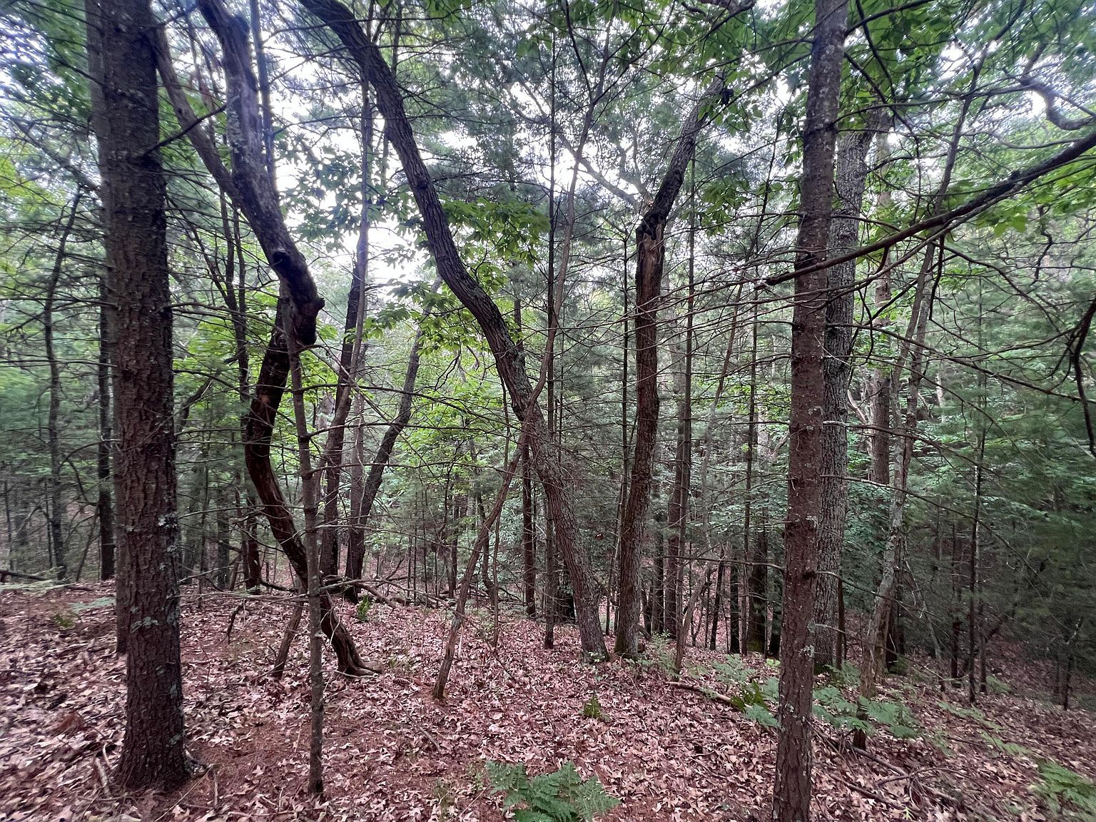 V/l A Lenox Ave Pentwater, MI 49449 - Thumbnail 3