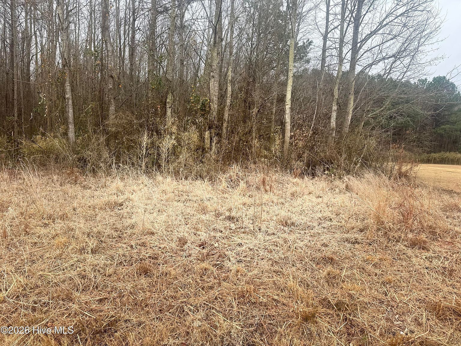 0 Center Hill Hwy Hertford, NC 27944 - Thumbnail 3