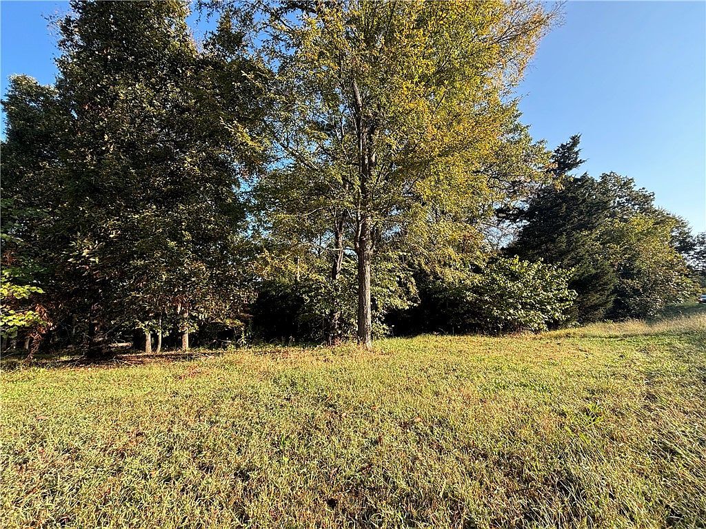 Harding Blvd #31-19-14 Cotter, AR 72626 - Thumbnail 3