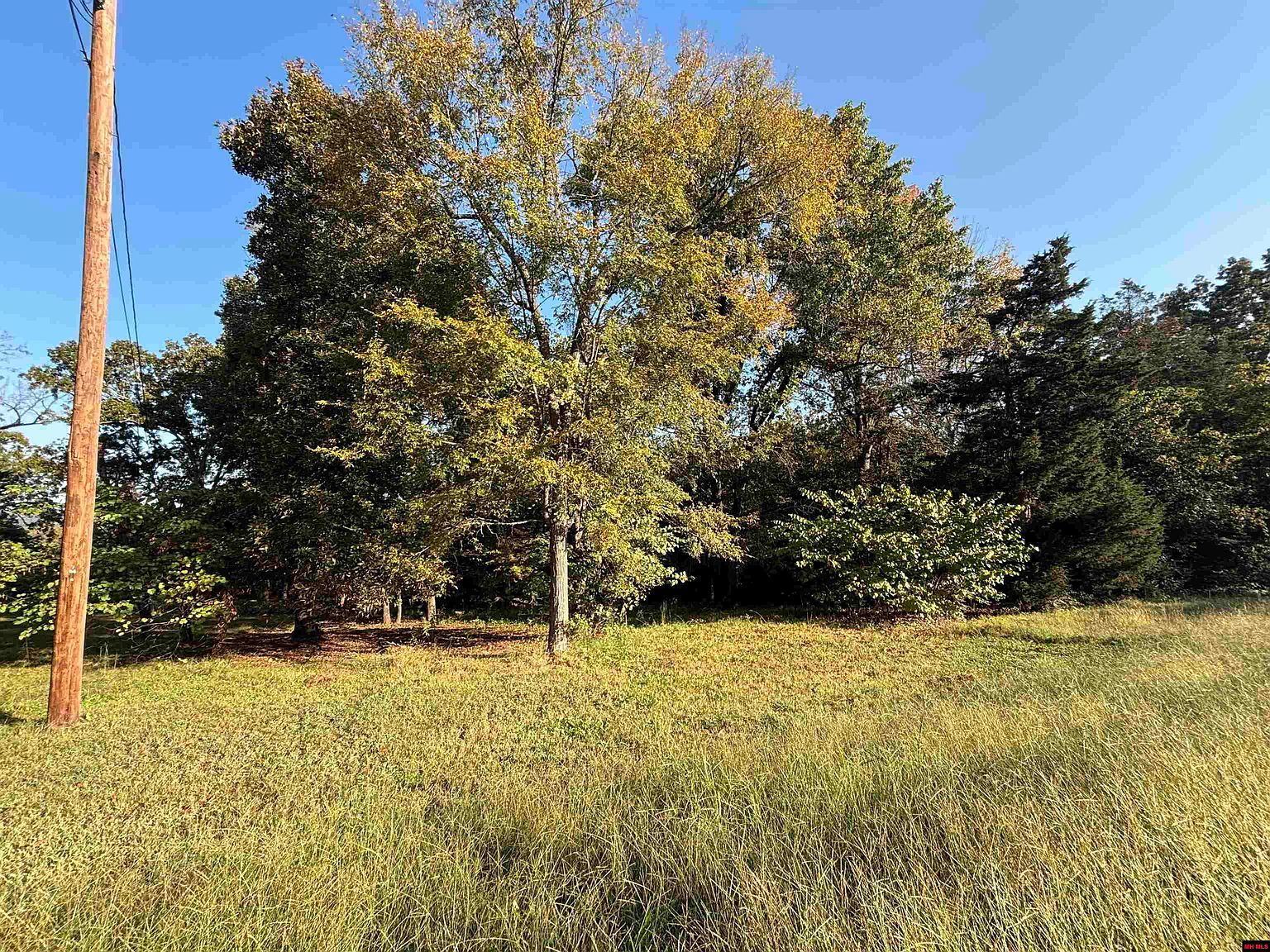 004-00426-001 Harding Blvd Cotter, AR 72626 - Thumbnail 3