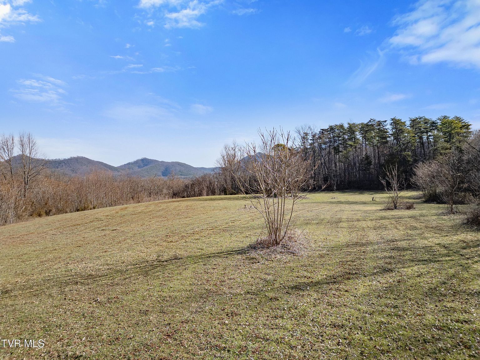 Timber Ln Greeneville, TN 37743 - Thumbnail 3