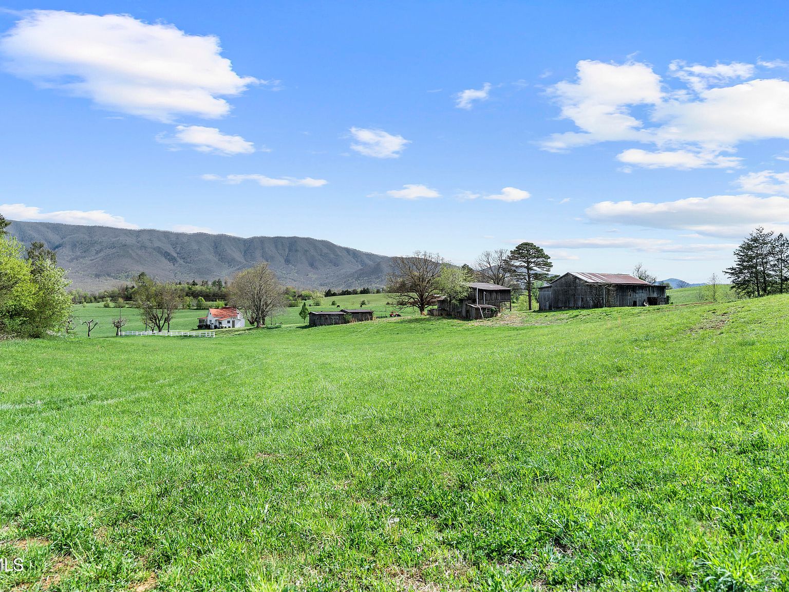 2 Red Hill Rd Greeneville, TN 37743 - Thumbnail 3