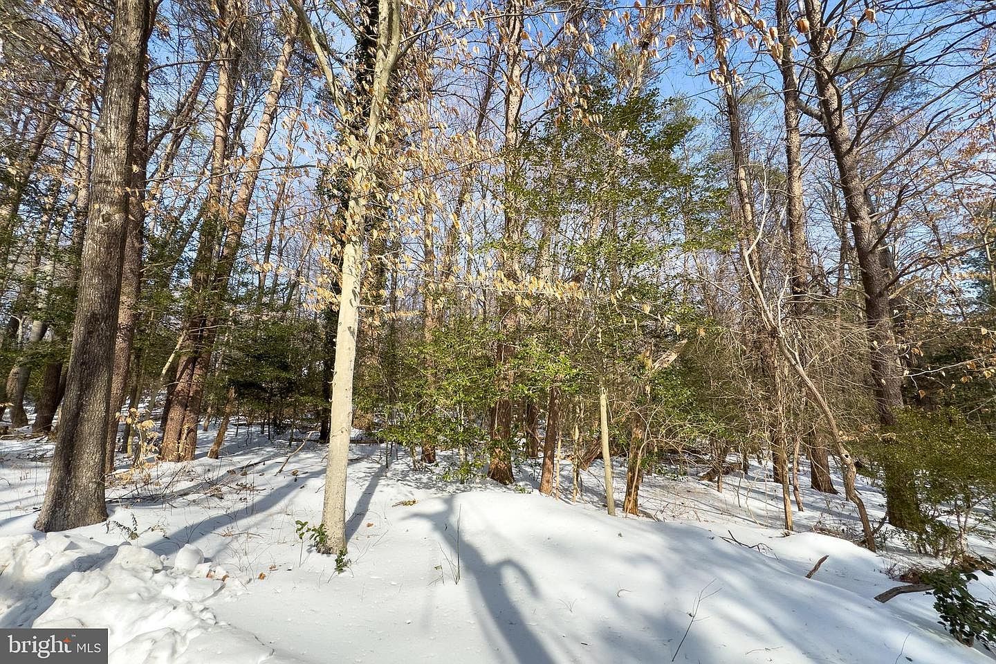 11529 Popes Head Rd Fairfax, VA 22030 - Thumbnail 3