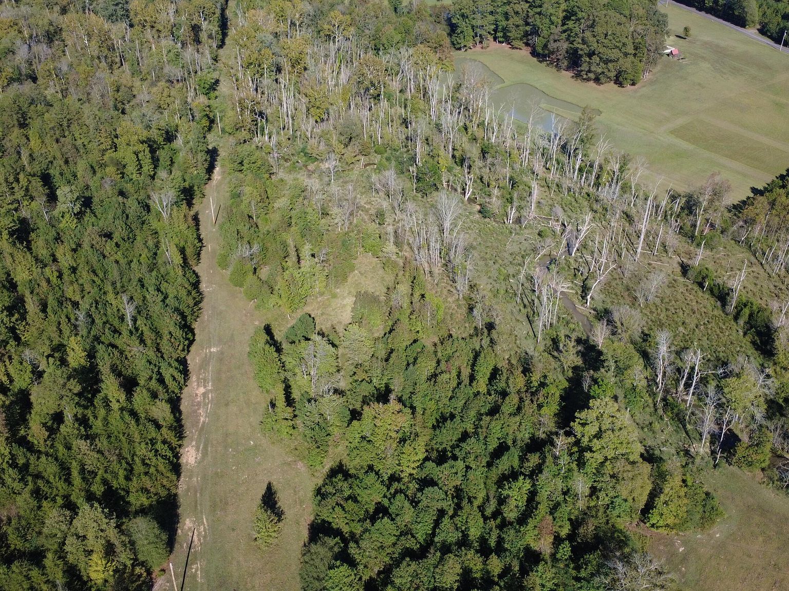 0 No Pone Valley Rd Georgetown, TN 37336 - Thumbnail 3