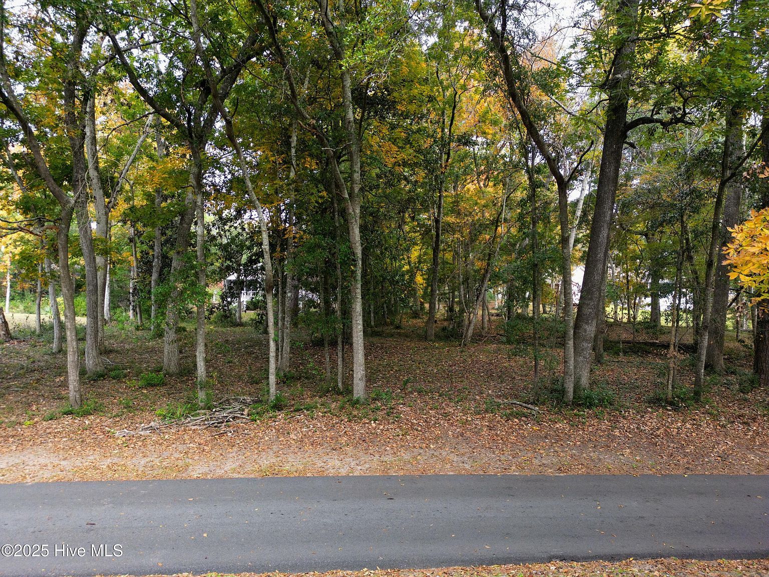 9086 Ocean Harbour Golf Club Rd SW Calabash, NC 28467 - Thumbnail 3