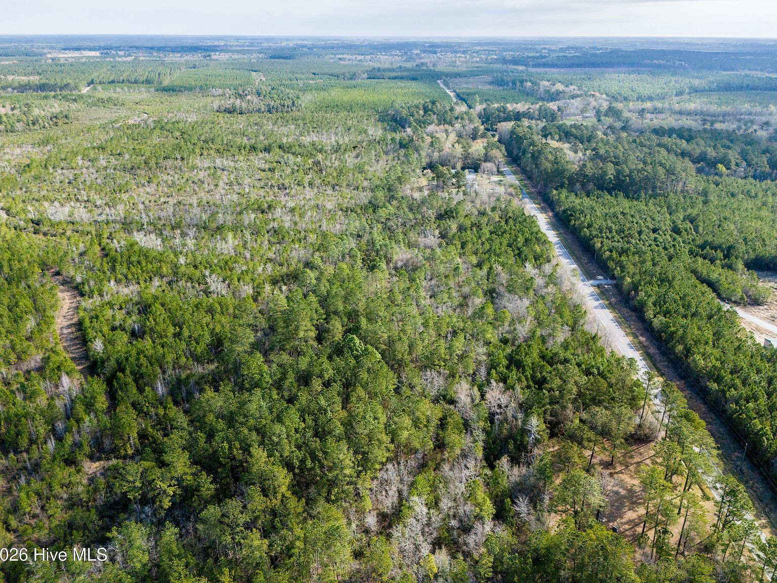 272 Hardy Graham Rd Maple Hill, NC 28454 - Thumbnail 3