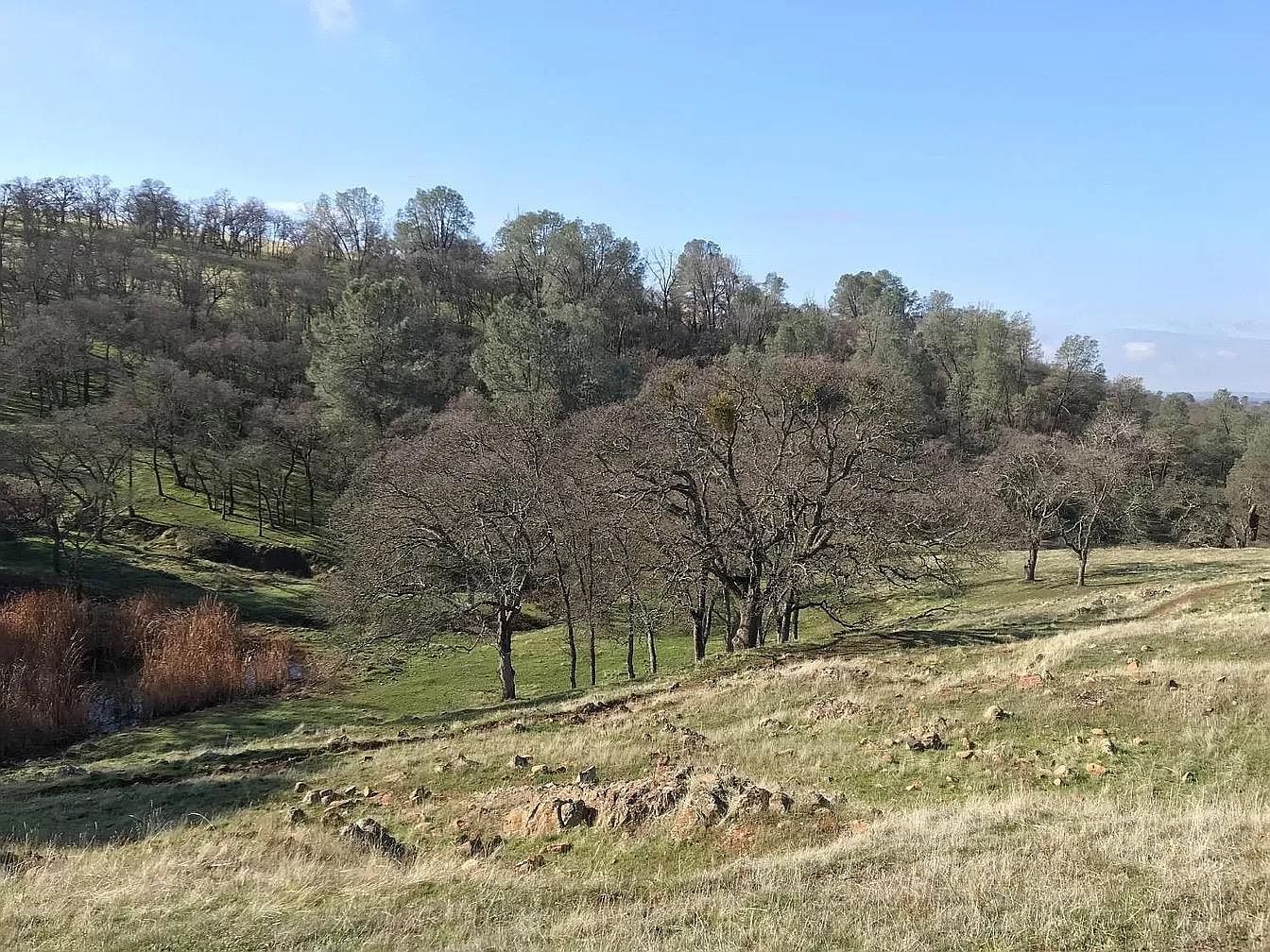 Lanford Pacheco Rd Valley Springs, CA 95252 - Thumbnail 3