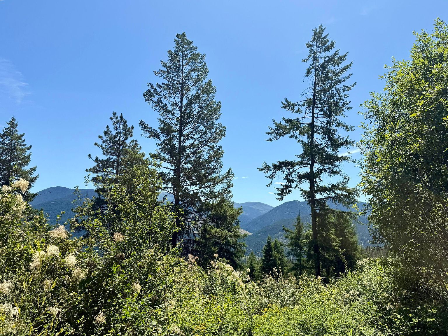 Perelandra Cir Lot 36 Danville, WA 99121 - Thumbnail 3