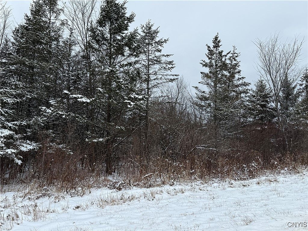 Eddy Rd LOT 2 Theresa, NY 13691 - Thumbnail 3