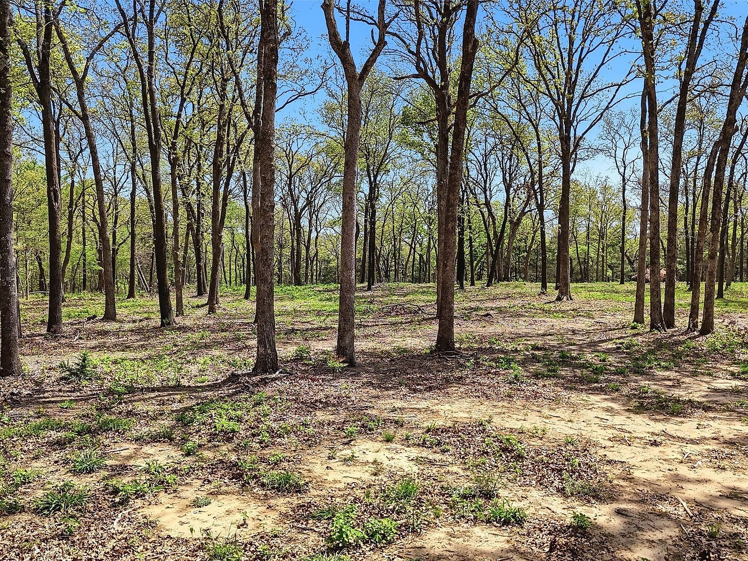 13 Buck Trail Rd Pottsboro, TX 75076 - Thumbnail 3