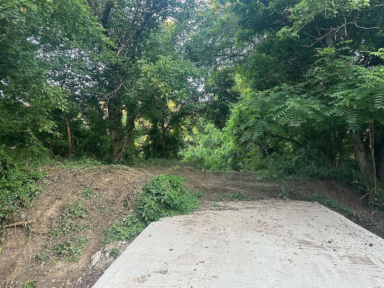 0 State Highway 49 Bradfordsville, KY 40009 - Thumbnail 3