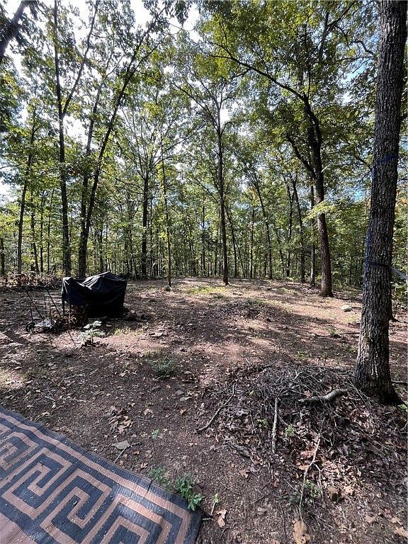 Nc #8659 Jasper, AR 72641 - Thumbnail 3