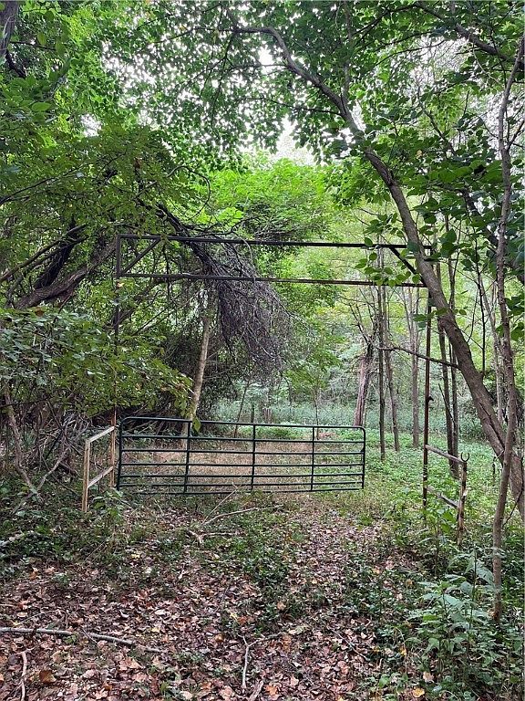 Gum Springs Rd Parthenon, AR 72666 - Thumbnail 3