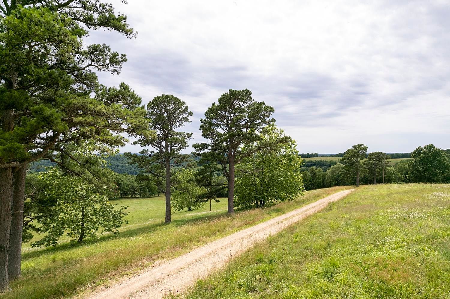 County Road 510 Berryville, AR 72616 - Thumbnail 3