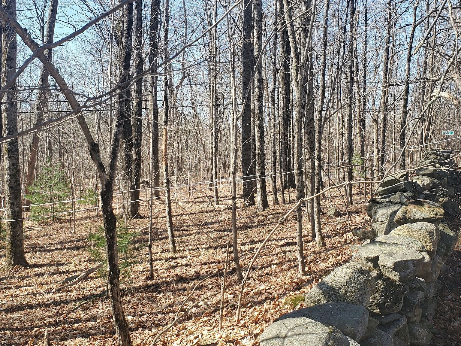 0 Center Rd Woodstock, CT 06281 - Thumbnail 3