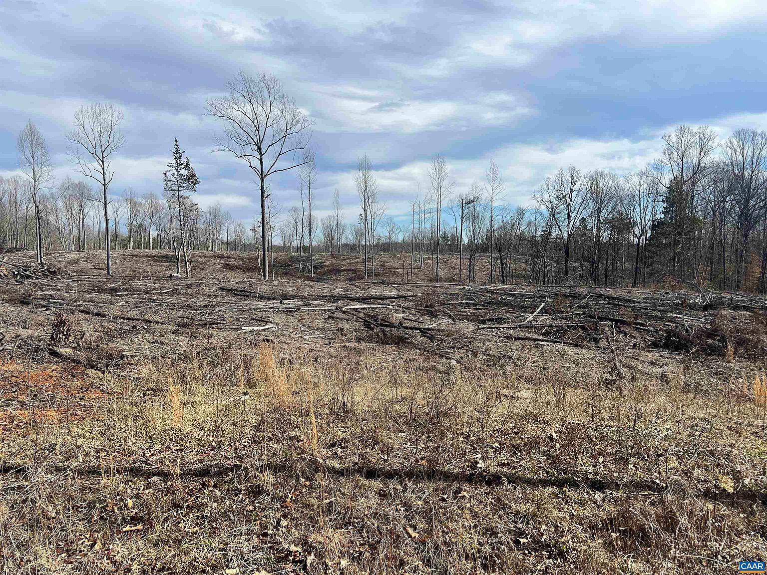 Carysbrook Rd Palmyra, VA 22963 - Thumbnail 3