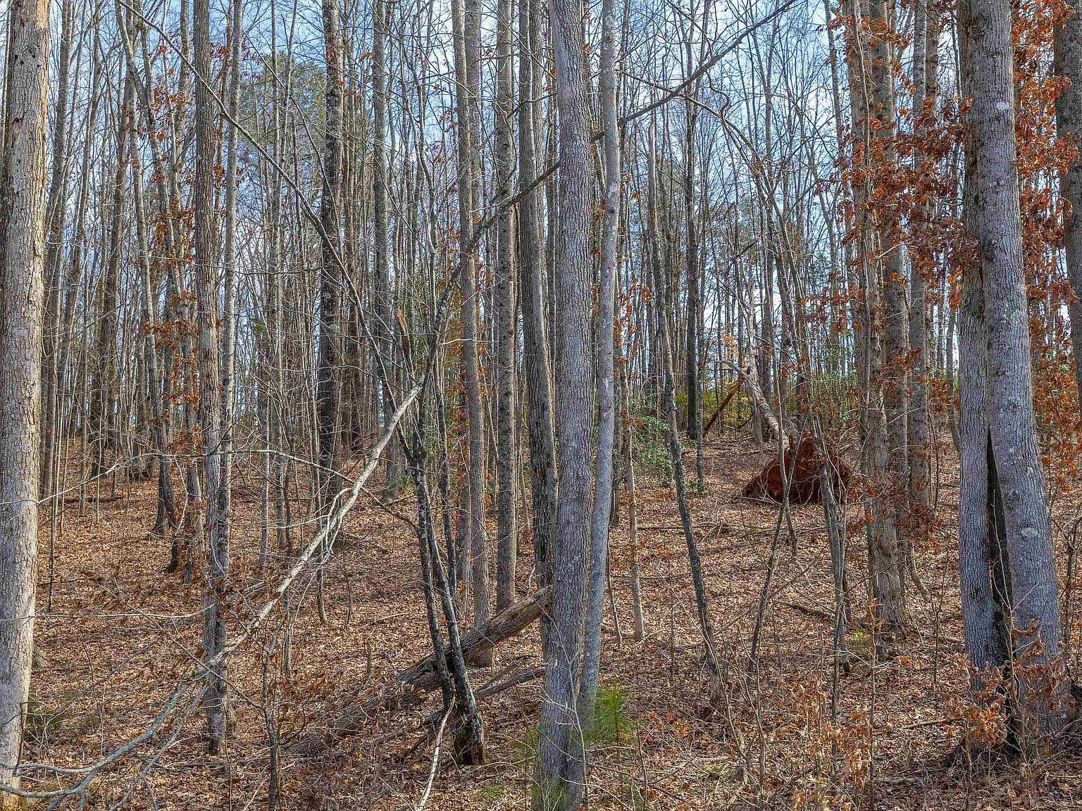 Bible Way Rd Victoria, VA 23974 - Thumbnail 3