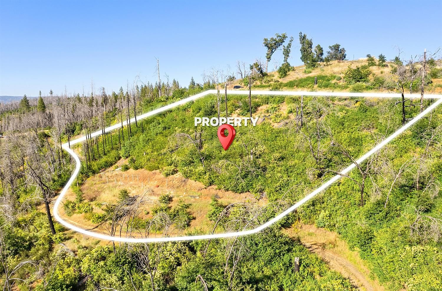 Pine Tree Ln Berry Creek, CA 95916 - Thumbnail 3