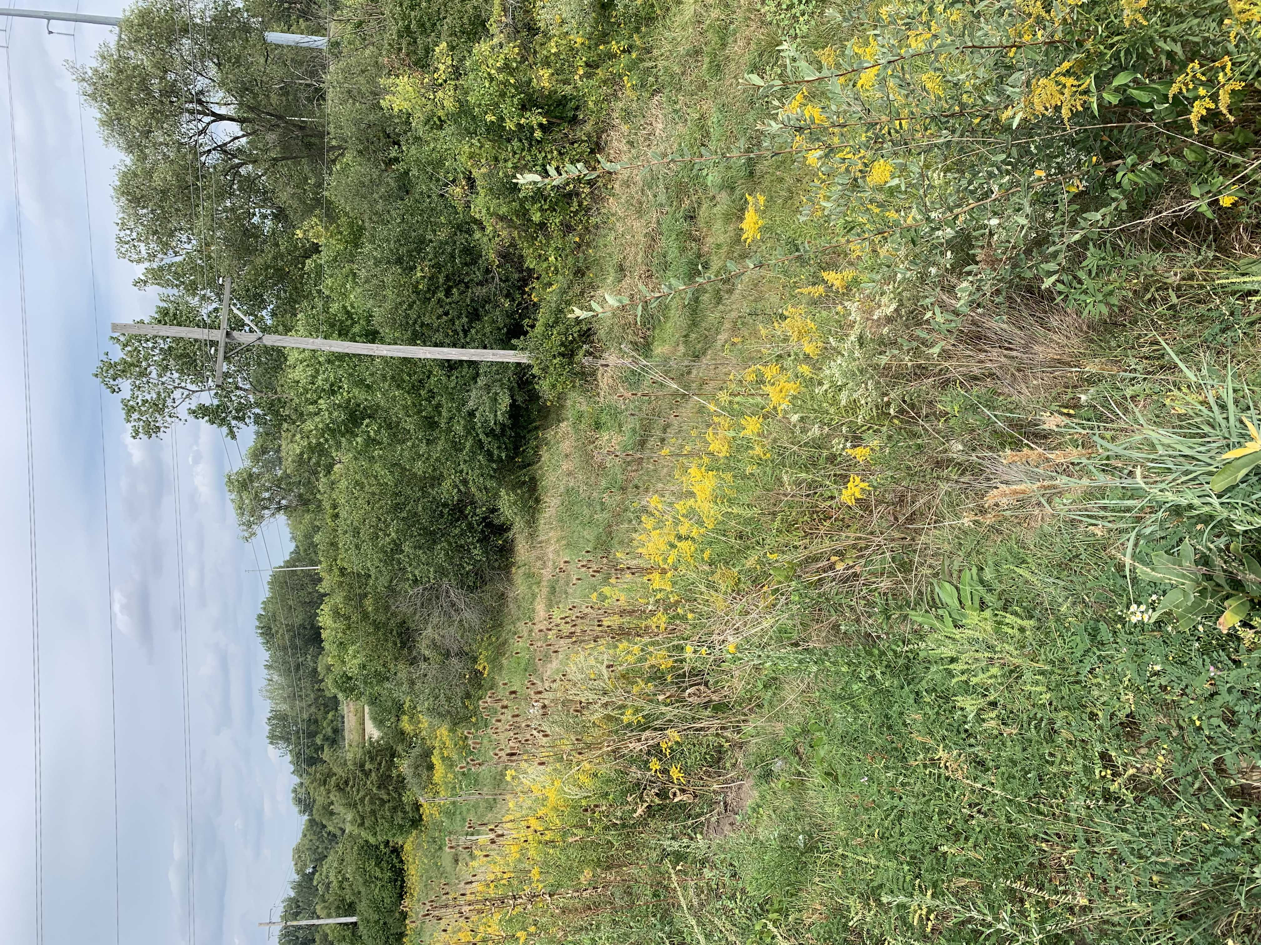 0 Tyrell Rd., Gilberts, IL, 60136 - Thumbnail 3