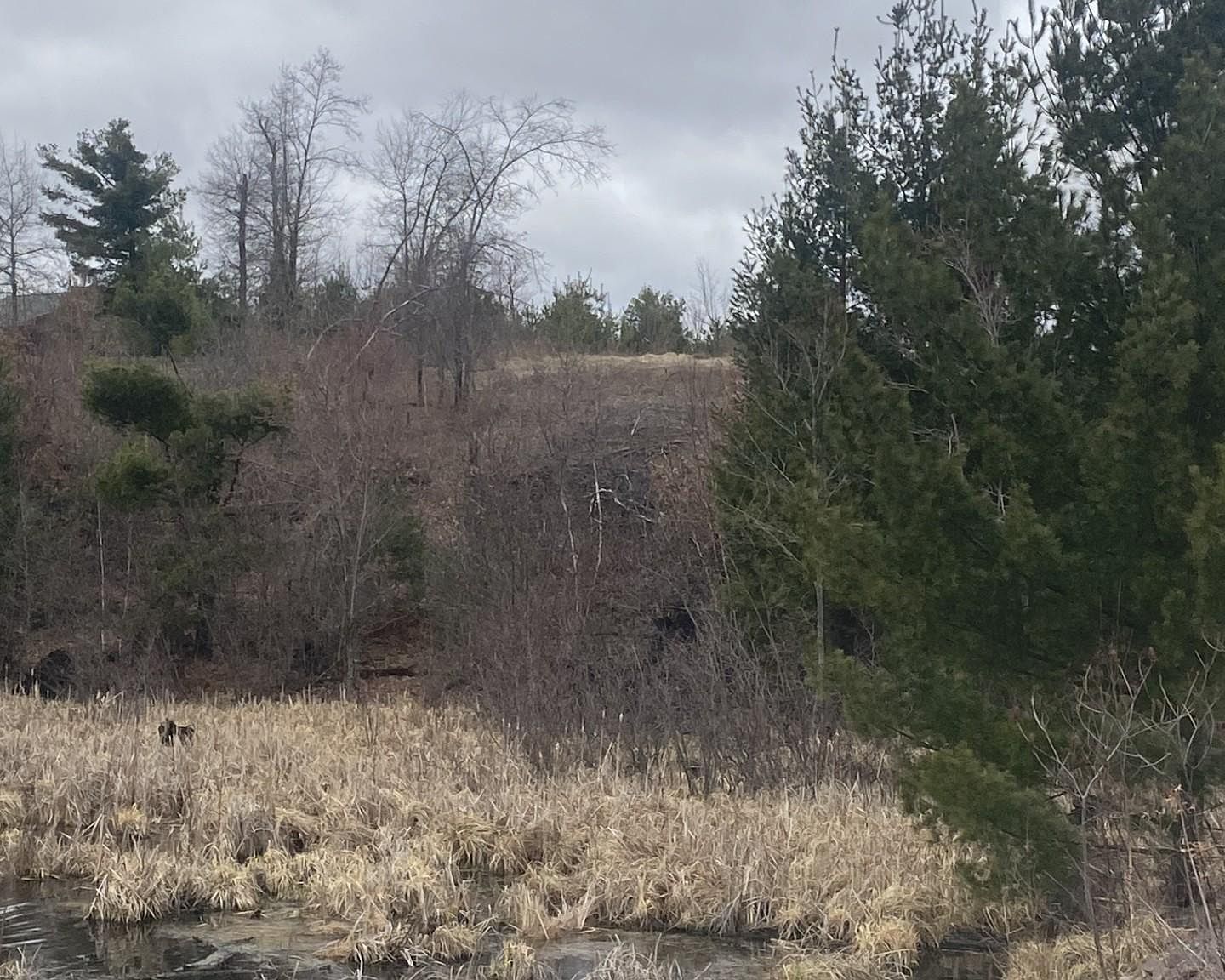 LOT 1 10 7/8 Ave Cameron, WI 54822 - Thumbnail 3