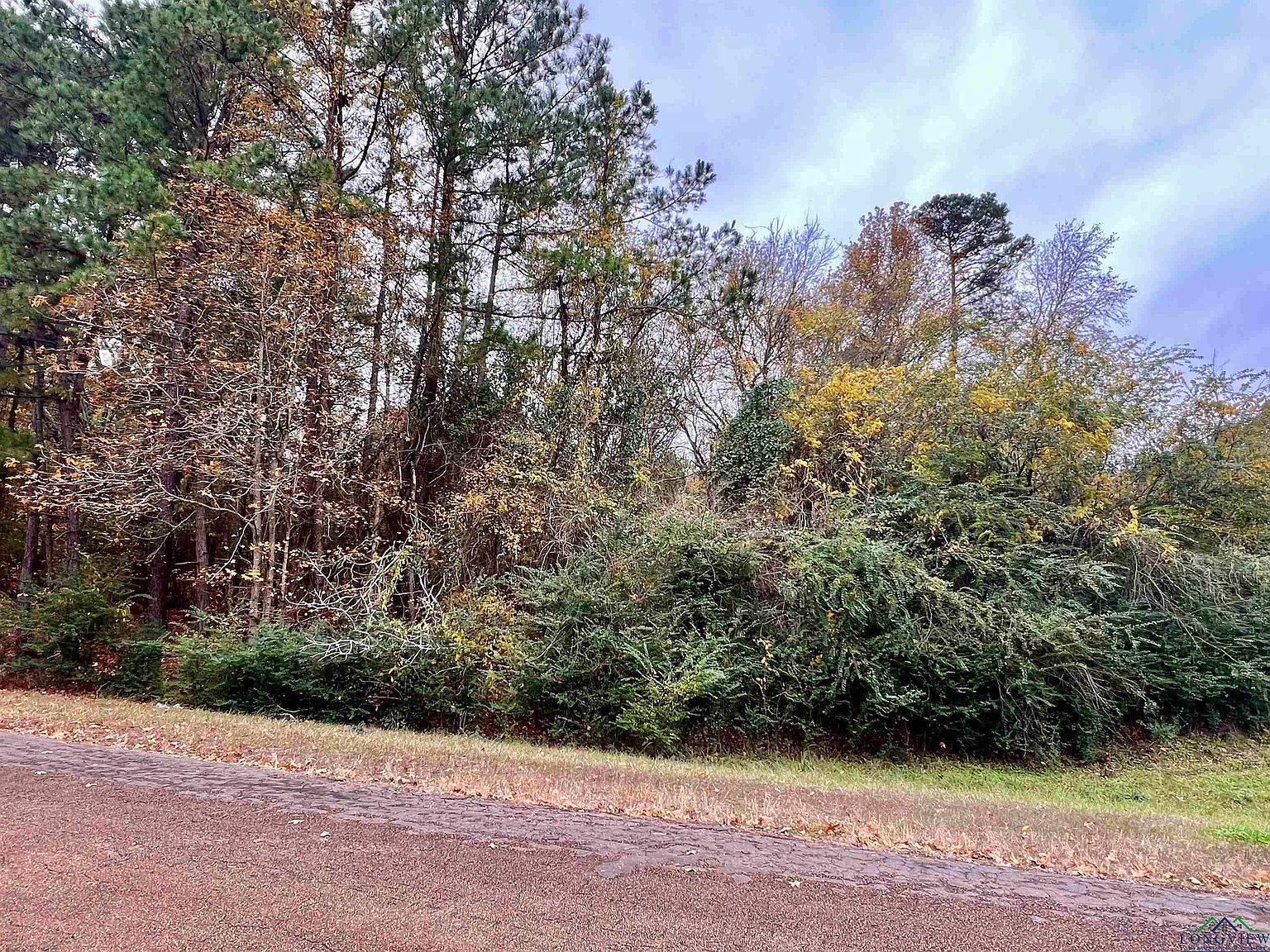 390 Tbd Loop Marshall, TX 75672 - Thumbnail 3