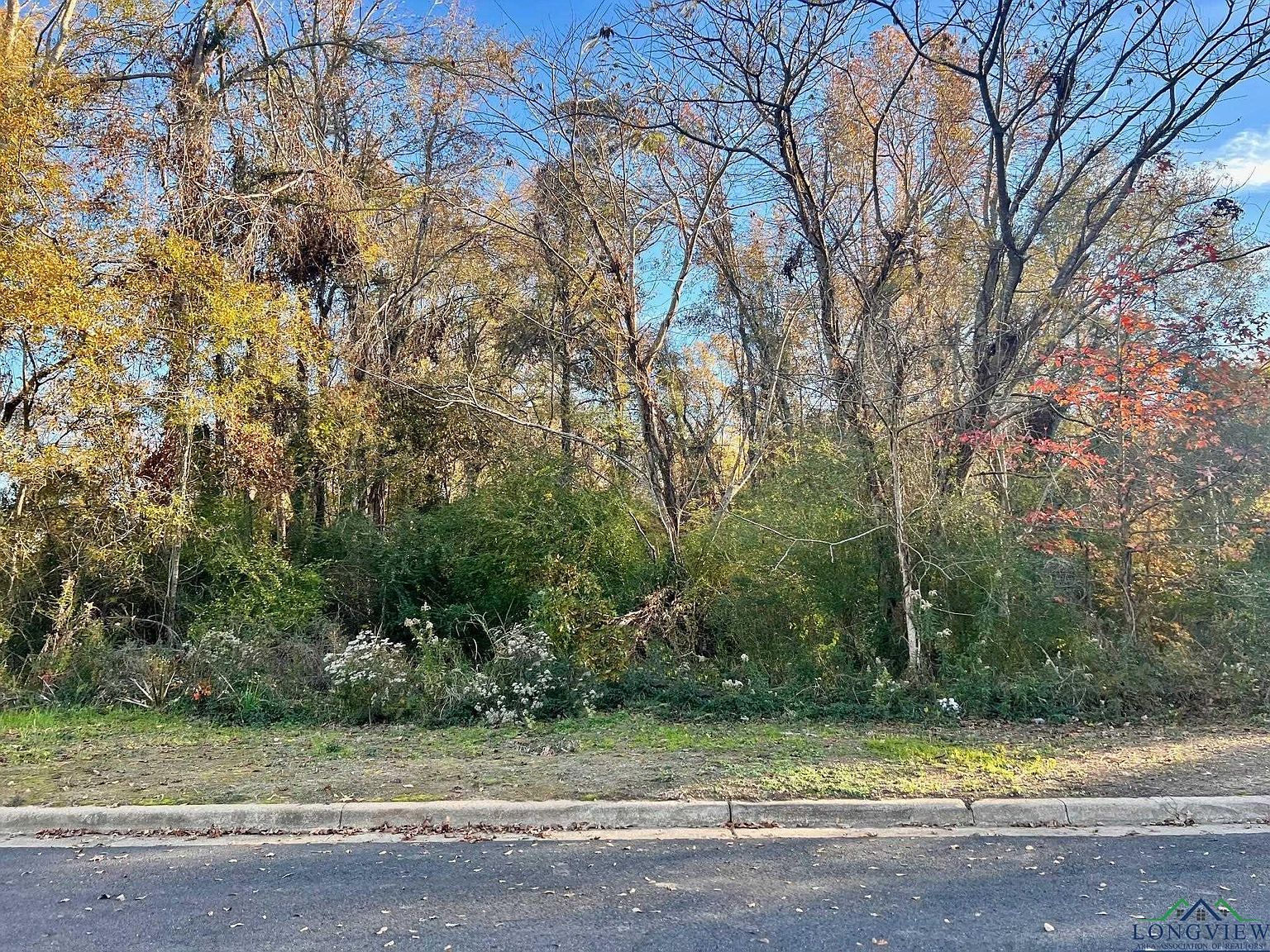 Yvonne St Marshall, TX 75672 - Thumbnail 3