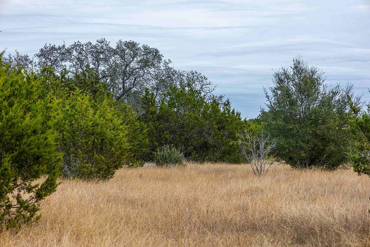 County Road 200 Bertram, TX 78605 - Thumbnail 3