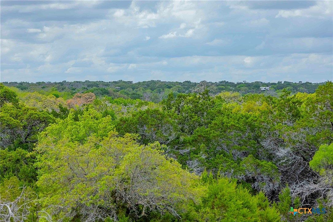 910 Abbey Rd Liberty Hill, TX 78642 - Thumbnail 3