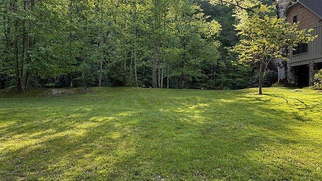 LOT 14 Mystic River Meadows Way Bryson City, NC 28713 - Thumbnail 3