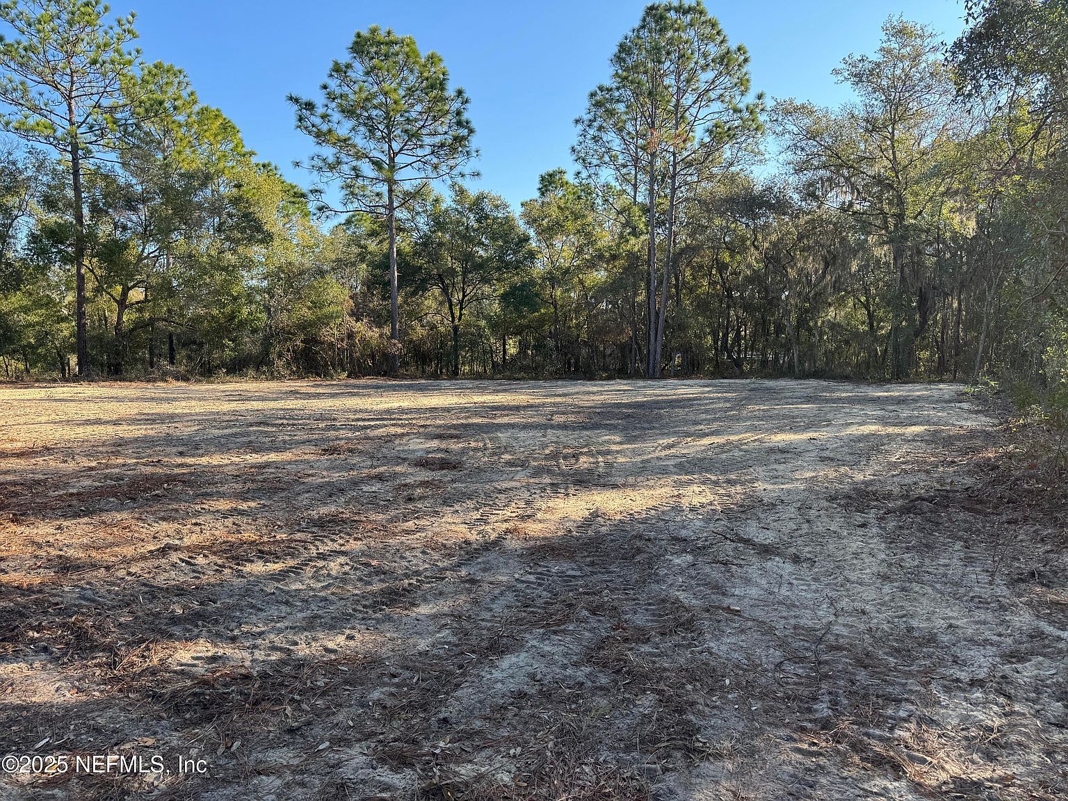 105 Race St Hawthorne, FL 32640 - Thumbnail 3