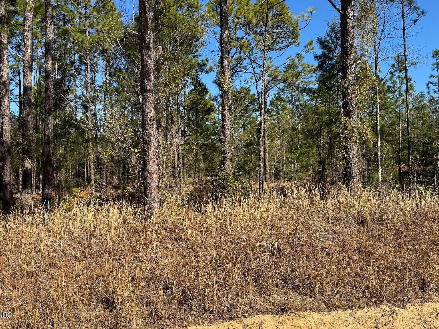 0 Poinciana Dr Interlachen, FL 32148 - Thumbnail 3