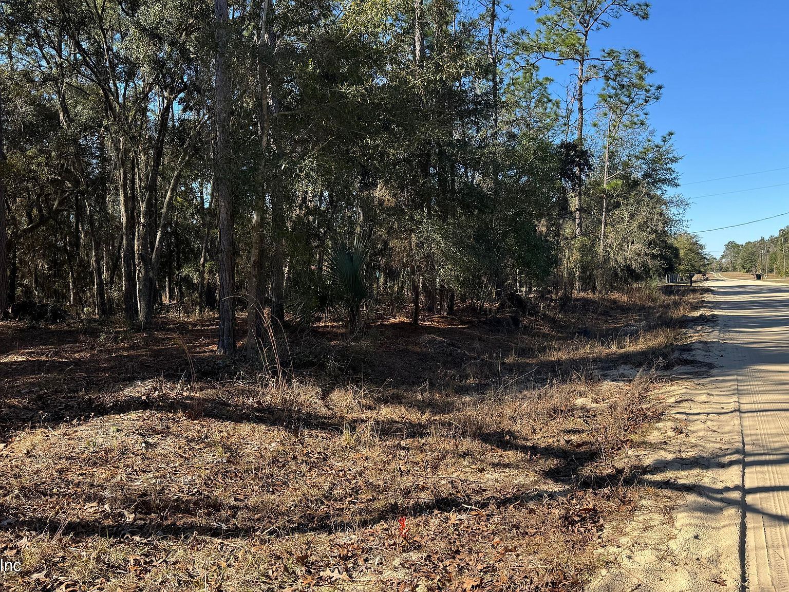 131 Spring Lake Dr Interlachen, FL 32148 - Thumbnail 3