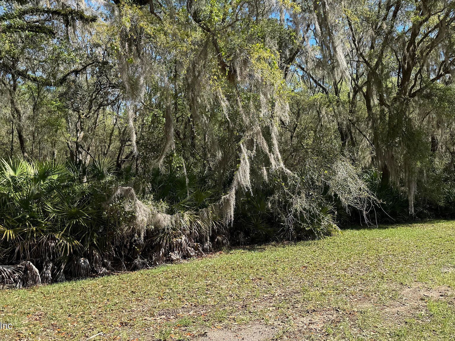 0 Lake Susan Rd Hawthorne, FL 32640 - Thumbnail 3