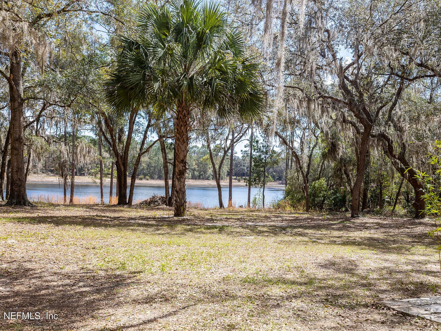 167 W Strickland Rd Interlachen, FL 32148 - Thumbnail 3