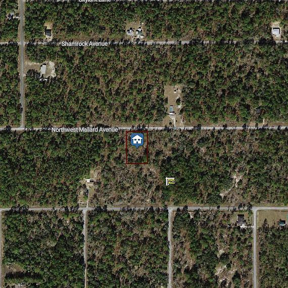 0 NW Mallard Ave Dunnellon, FL 34431 - Thumbnail 3