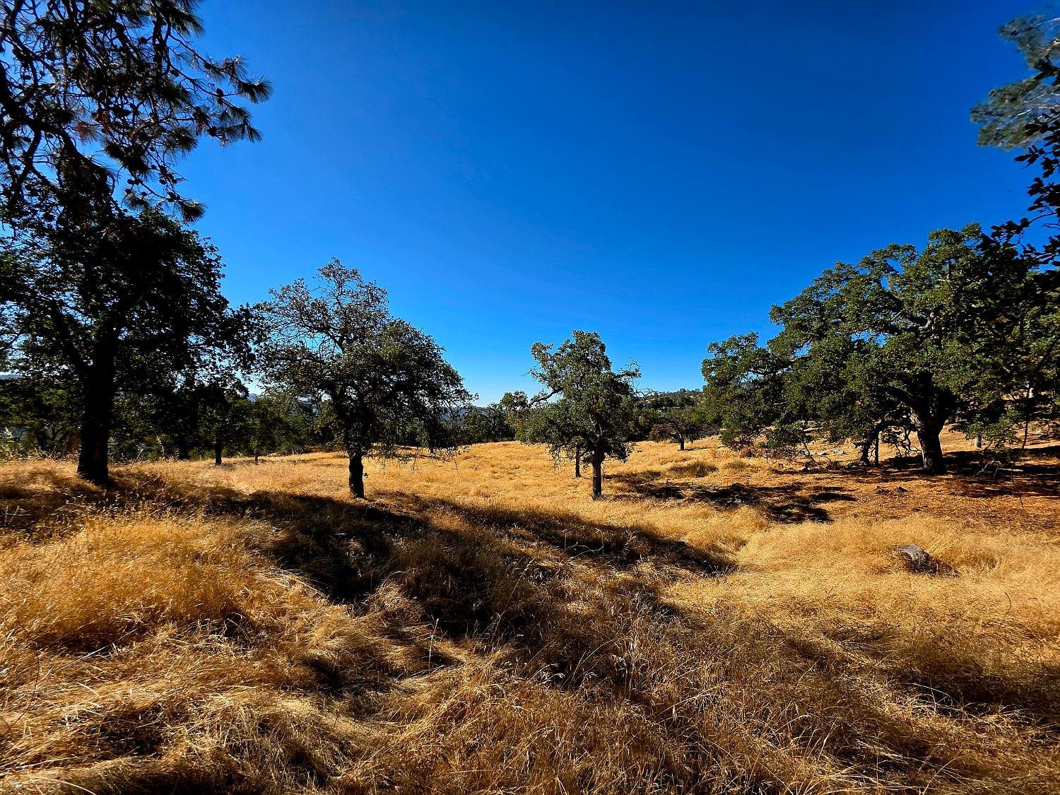 1 Lilley Mountain Dr Coarsegold, CA 93614 - Thumbnail 3